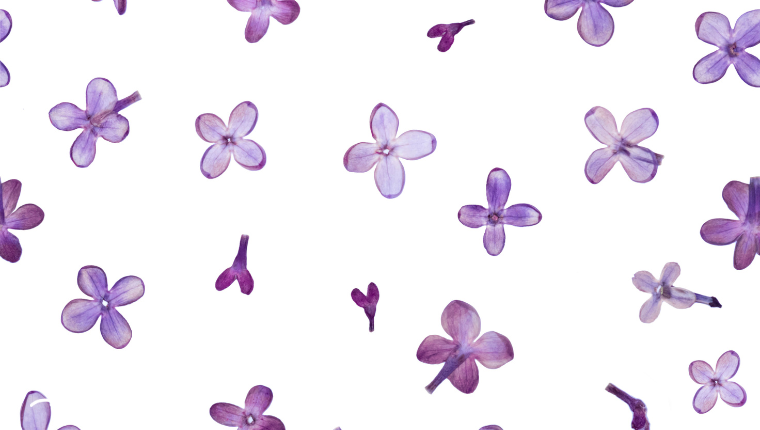 Unavngivet (760 X 430 Px) (11)